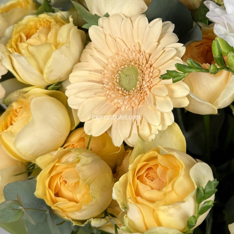 Для весёлой и легкой