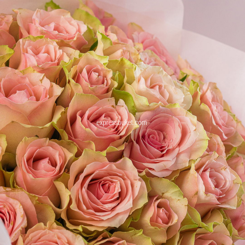 Розовый стиль 35 роз